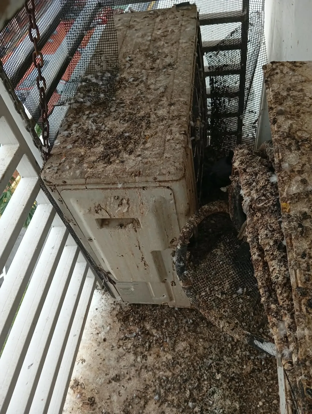 Aircon outdoor unit coated in pigeon droppings and feathers on Singapore HDB ledge