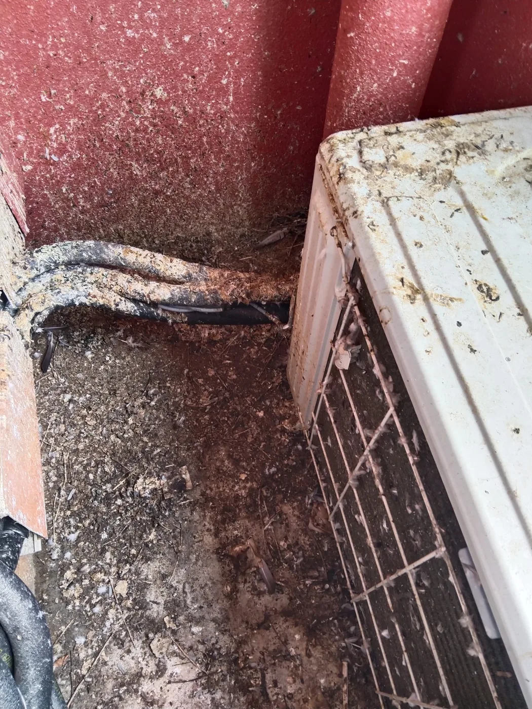Dead pigeon and years of accumulated debris on filthy aircon ledge Singapore HDB without bird netting