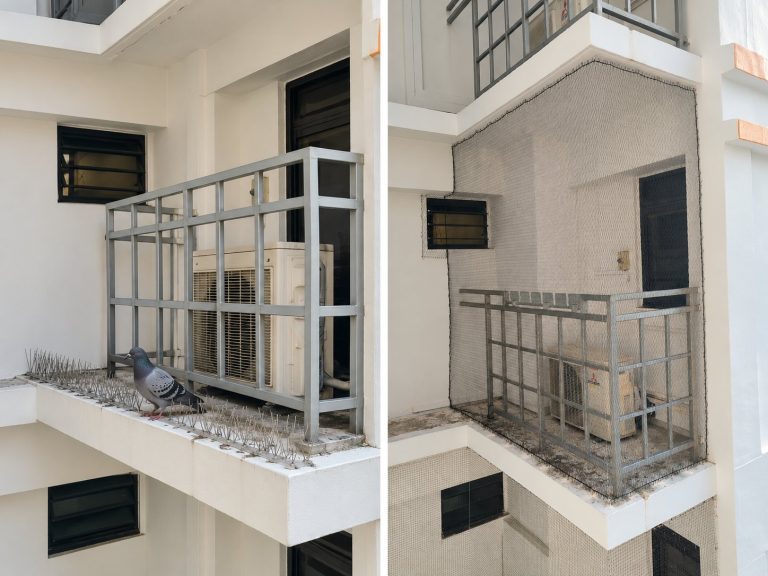 Bird Netting vs Bird Spikes Singapore — Which Actually Works on Your HDB Aircon Ledge? (2026)